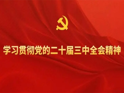 <b>黨建學(xué)習(xí)--學(xué)習(xí)貫徹黨的二十屆三中全會精神培訓(xùn)</b>